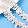 Natural Baroque Keshi Pearl Beads Strands PEAR-S020-H13A-1