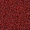 MIYUKI Round Rocailles Beads X-SEED-G007-RR0011-3
