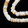 Natural Freshwater Shell Beads Strands SHEL-S278-067G-3