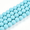 Synthetic Turquoise Beads Strands G-A255-A04-02B-4