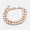 Natural Cultured Freshwater Pearl Beads Strands PEAR-F007-85A-01A-X-2