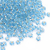 Silver Lined Glass Seed Beads SEED-Q025-1.5mm-C05-2
