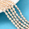 Natural Cultured Freshwater Pearl Beads Strands PEAR-I007-01P-02-1