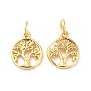 Brass Charms KK-Q403-01G-1