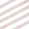 3 Yards Polyester Flower Lace Trim OCOR-OC0001-67A-1