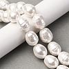 Electroplated Shell Pearl Beads Strands BSHE-H110-01-03-6