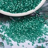 MIYUKI Delica Beads SEED-JP0008-DB1813-1