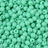 Opaque Acrylic Beads SACR-A007-01C-23-3