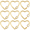 10Pcs Zinc Alloy Screw Carabiner Lock Charms FIND-DC0008-30-1