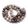 Natural Zebra Jasper Beads Strands G-S259-30-6mm-2