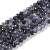 Natural Iolite Beads Strands G-G139-A11-03-1