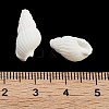 Natural Spiral Shell Beads BSHE-G038-06A-4