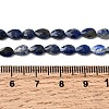 Natural Lapis Lazuli Beads Strands G-B159-A03-5