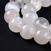 Natural Rainbow Moonstone Beads Strands G-I249-B04-06-3