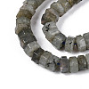 Natural Labradorite Beads Strands G-N357-14A-07-4