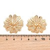 Brass Filigree Cabochons KK-CBACEE9-02A-KCG-3