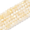 Natural White Shell Beads Strands SSHEL-E571-38A-4mm-1