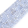 Natural Blue Lace Agate Beads Strands X-G-K366-B02-02-2