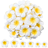 30Pcs 3 Styles Foam Artificial Frangipani Flower Aligator Hair Clips PHAR-SP0001-23A-1