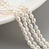 Natural Cultured Freshwater Pearl Beads Strands PEAR-P062-03C-2