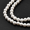 Electroplated Shell Pearl Beads Strands BSHE-K017-4mm-3