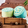 Segment Dyed Knitting Yarn DIY-TAC0033-03D-6