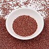 MIYUKI Delica Beads SEED-MY11-DB1838-2