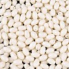 Baking Paint Glass Seed Beads SEED-T007-15A-2