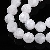 Natural Rainbow Moonstone Beads Strands G-S345-8mm-36-4