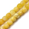 Dyed & Heated Natural Fire Crackle Agate Beads Strands G-NH0067-B01-1