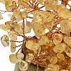Heated Natural Citrine Chips Tree of Life Display Decorations GG-CBACC2B-02A-3