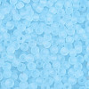 FGB Frosted Transparent Glass Seed Beads SEED-N013-02A-11-3