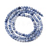 Natural Blue Spot Jasper Beads Strands G-A252-A02-02-3