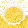Opaque Glass Seed Beads SEED-N012-09A-03-2