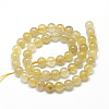 Natural Gold Rutilated Quartz Beads Strands G-R446-10mm-12-2