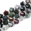 Natural Indian Agate Beads Strands G-T144-24A-05-4