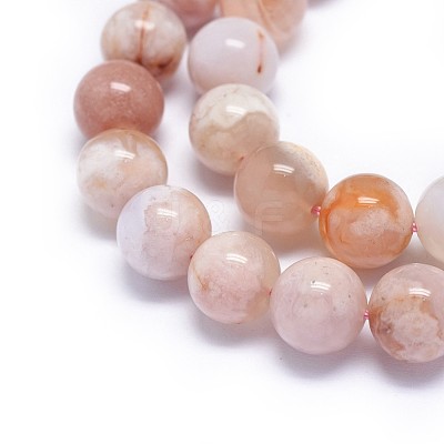 Natural Cherry Blossom Agate Beads Strands G-I249-B01-03-1