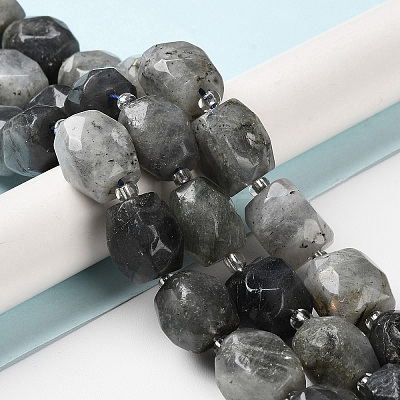 Natural Labradorite Beads Strands G-C105-A02-01-1