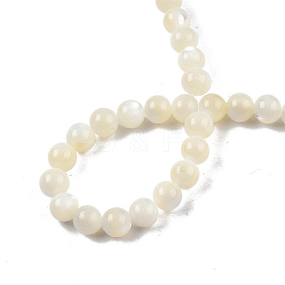 Natural White Shell Bead Strands SSHEL-N003-144D-01-1