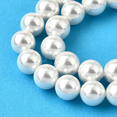 Rainbow Plated Shell Pearl Bead Strands BSHE-L025-02-8mm-1