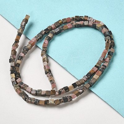 Natural Rhodonite Beads Strands G-B064-A31-1
