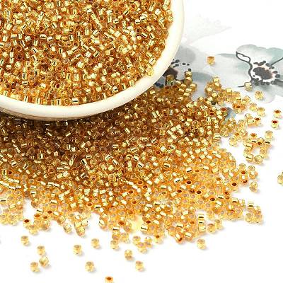 Glass Seed Beads SEED-S042-04B-12-1