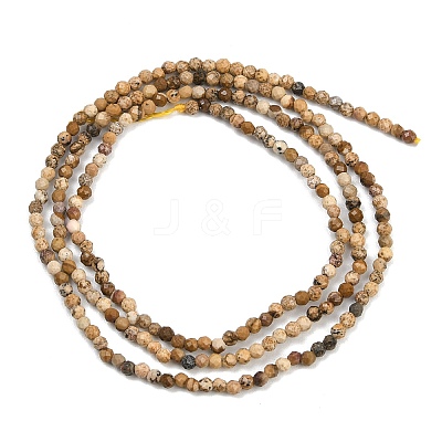 Natural Picture Jasper Beads Strands G-P572-B03-2mm-1