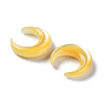 Natural Yellow Shell Beads SHEL-M020-04B-1
