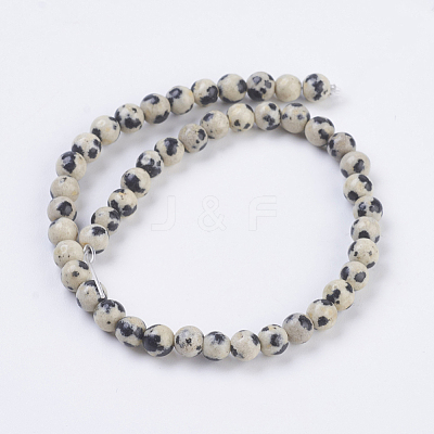 Natural Dalmation Jasper Beads Strands G-G515-4mm-06-1
