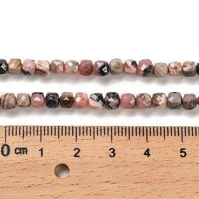 Natural Argentina Rhodonite Beads Strands G-B107-B01-01-1