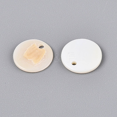 Natural Freshwater Shell Disc Charms BSHE-T014-42B-1