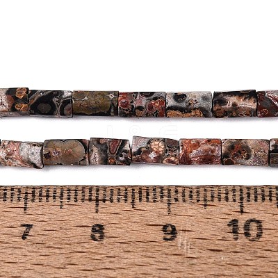 Natural Leopard Skin Jasper Beads Strands GG-N002-01A-12-1