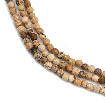 Natural Picture Jasper Beads Strands G-P572-B03-2mm-1