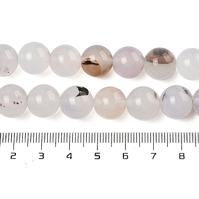 Natural Dendritic Agate Beads Strands G-A248-A07-04-1